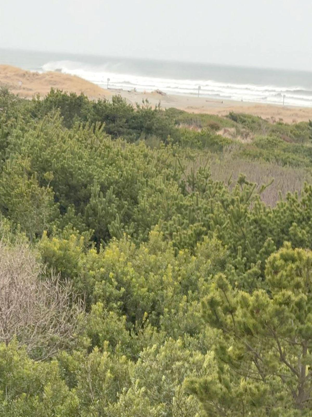 Coratel Inn And Suites By Jasper Ocean Shores Luaran gambar